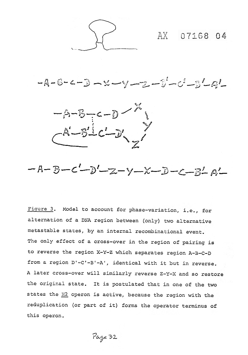 Model to Account for Phase Variation